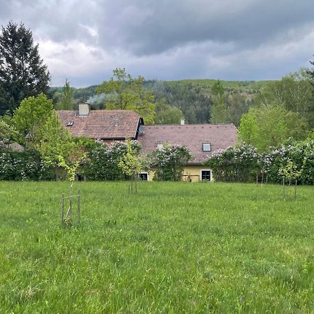 Bed&Breakfast Im Gruenen Nah An Wien Brettwies ภายนอก รูปภาพ