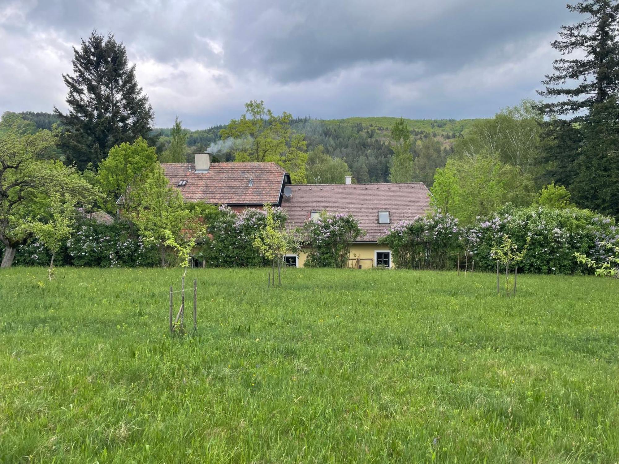 Bed&Breakfast Im Gruenen Nah An Wien Brettwies ภายนอก รูปภาพ