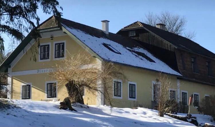 Bed&Breakfast Im Gruenen Nah An Wien Brettwies ภายนอก รูปภาพ